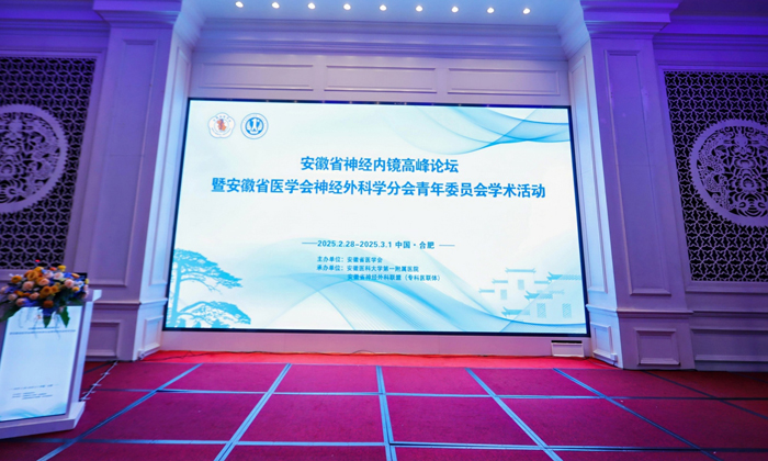 聚焦前沿，共話未來(lái)：萊沃醫(yī)療助力安徽省神經(jīng)內(nèi)鏡高峰論壇